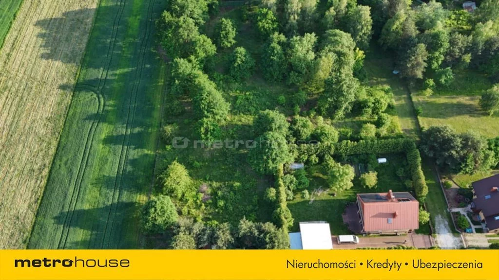 SGCUTO769 - zdjęcie nr 3
