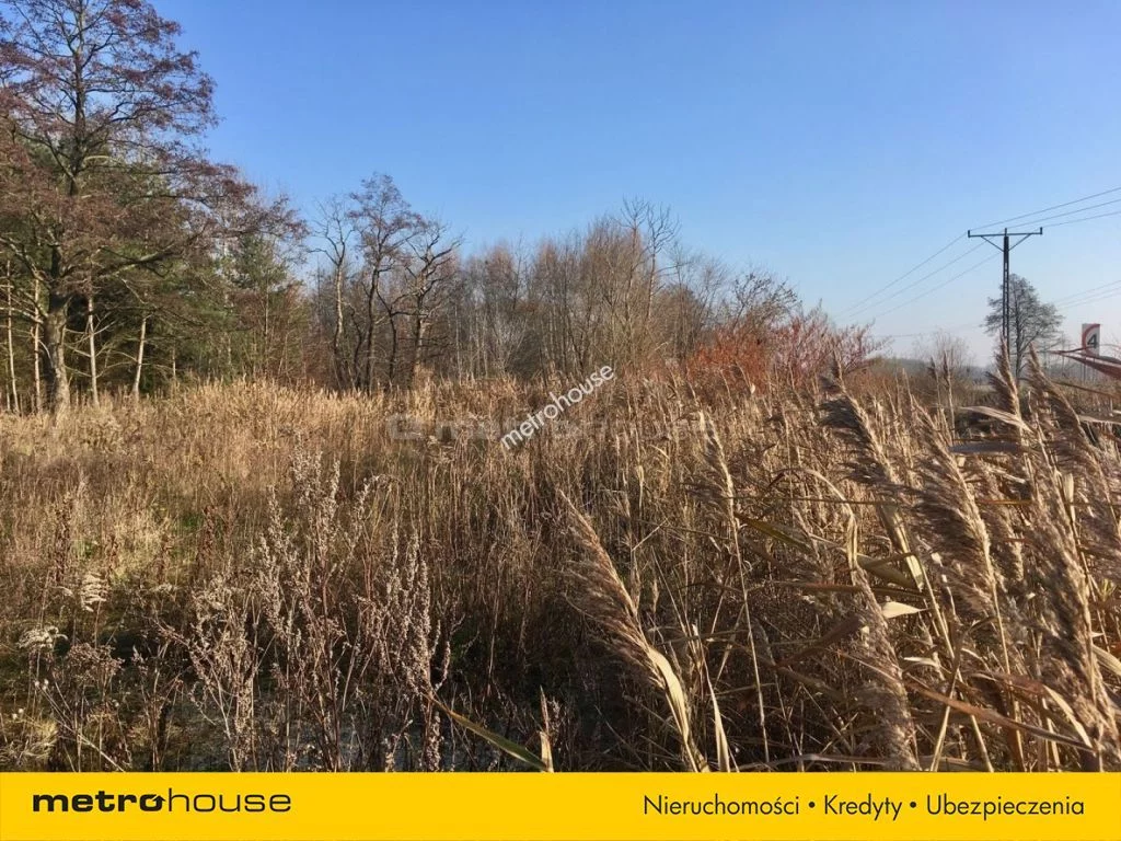 Działka 5 440,00 m², oferta nr , SGJERE444, Parzniew, Przytorowa