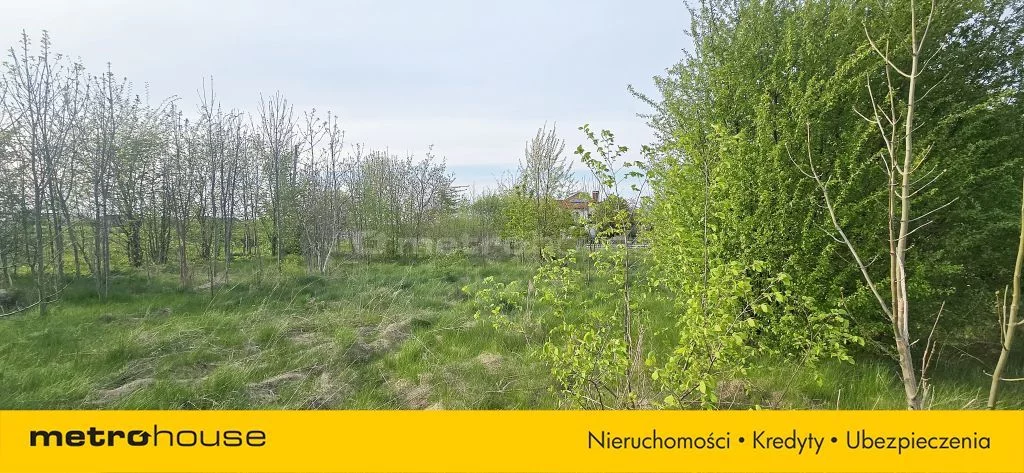 SGROLO722 - zdjęcie nr 0