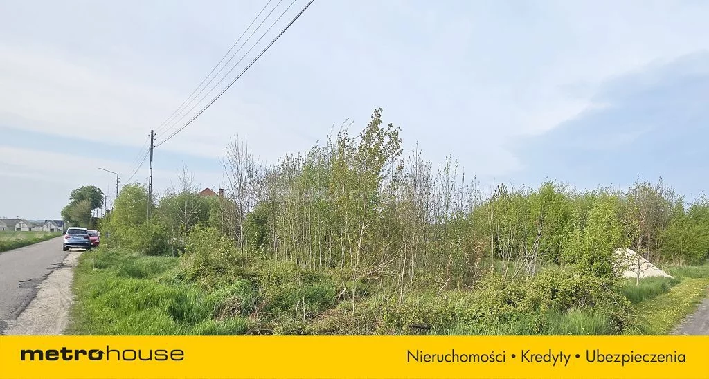 SGROLO722 - zdjęcie nr 2
