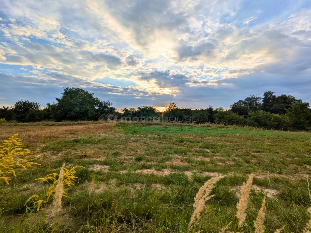 Działka 509,00 m², oferta nr , SGRELI958, Tarnowskie Góry, Puszkina