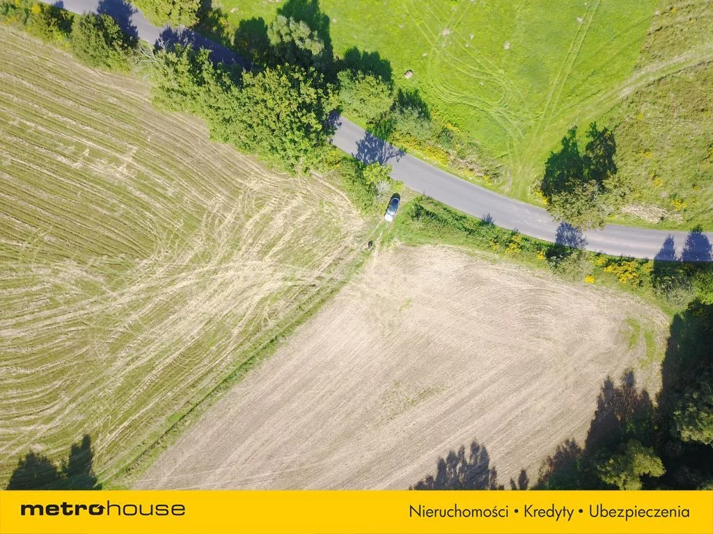 Działka 11 700,00 m², oferta nr , SGZAVE387, Radłówka
