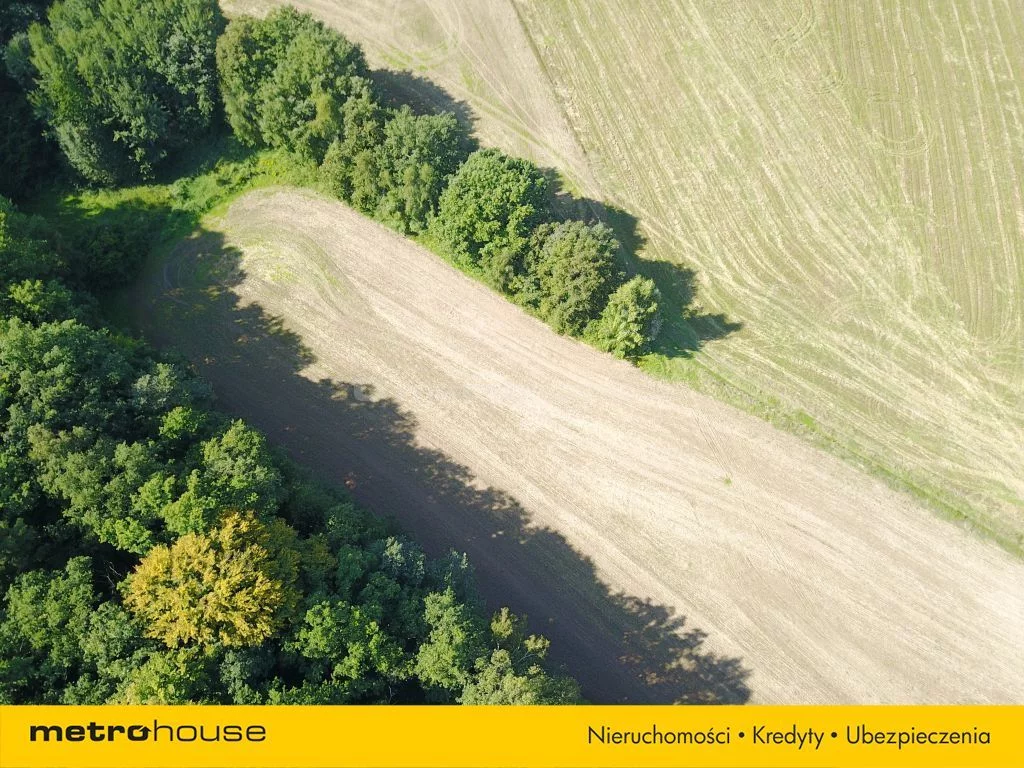 Działka 11 700,00 m², oferta nr , SGZAVE387, Radłówka