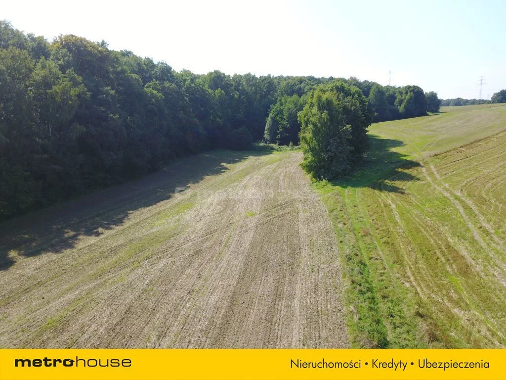 Działka 11 700,00 m², oferta nr , SGZAVE387, Radłówka