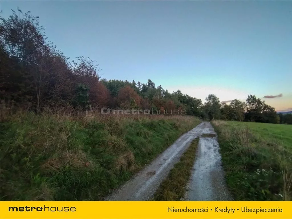 Działka 10 600,00 m², oferta nr , REPU400, Radochów