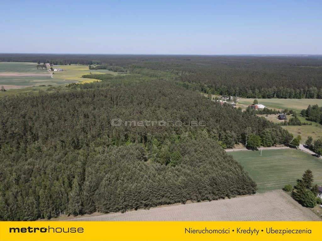 Działka 7 900,00 m², oferta nr , SGMORY171, Radomno