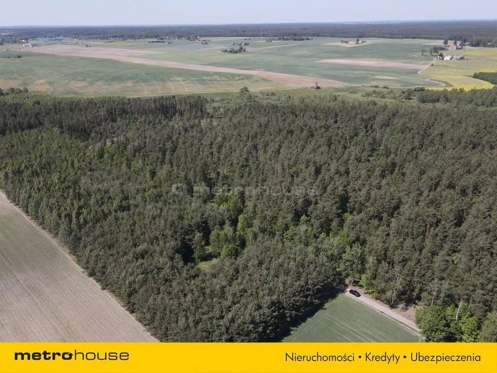 Działka 7 900,00 m², oferta nr , SGMORY171, Radomno