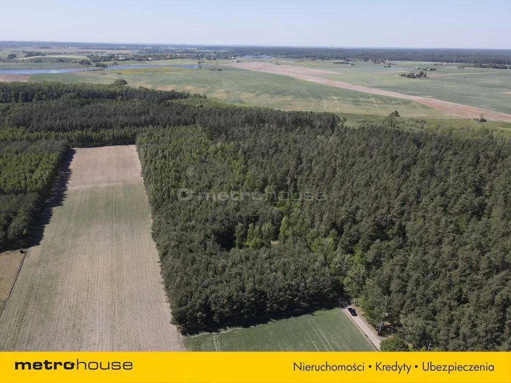 Działka 7 900,00 m², oferta nr , SGMORY171, Radomno