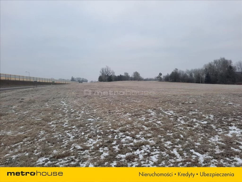 Działka 16 959,00 m², oferta nr , KOWO145, Radziejowice-Parcel