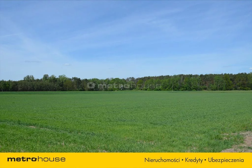 Działka 41 831,00 m², oferta nr , DYMO622, Raków Duży
