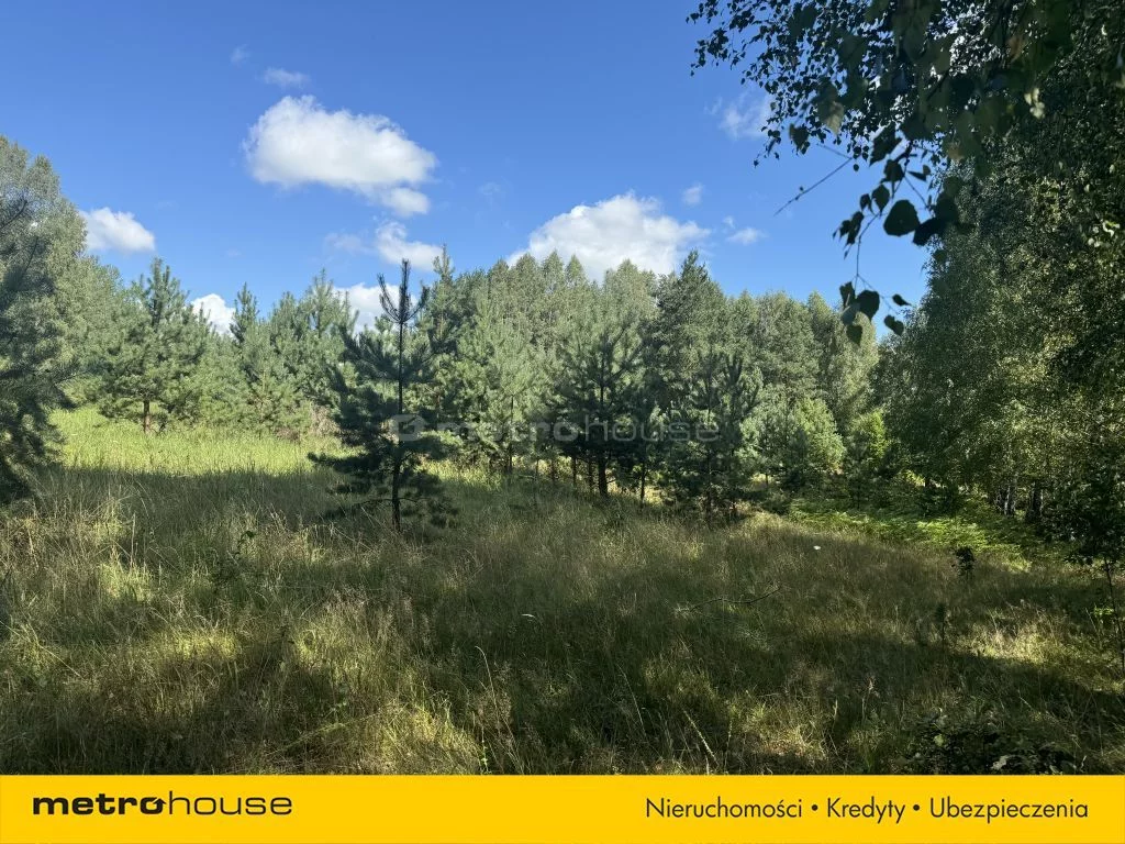 Działka 3 020,00 m², oferta nr , SGDUHO215, Rapaty