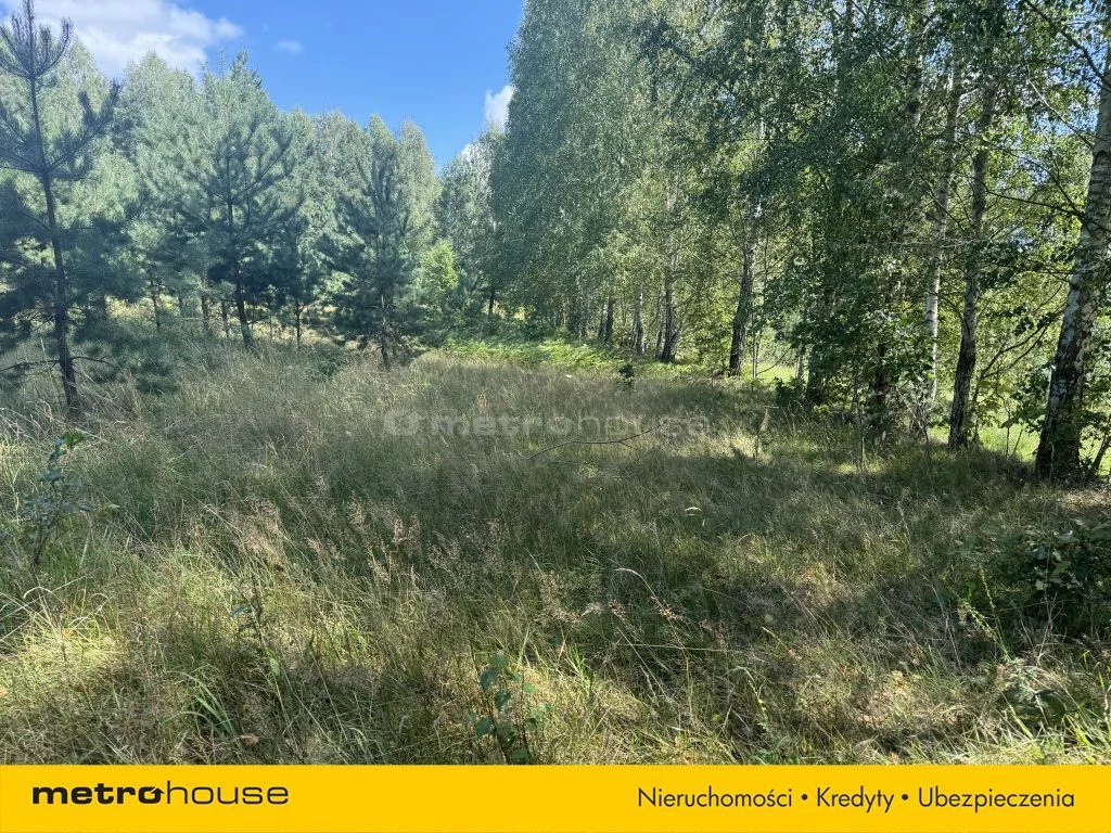 Działka 3 020,00 m², oferta nr , SGDUHO215, Rapaty