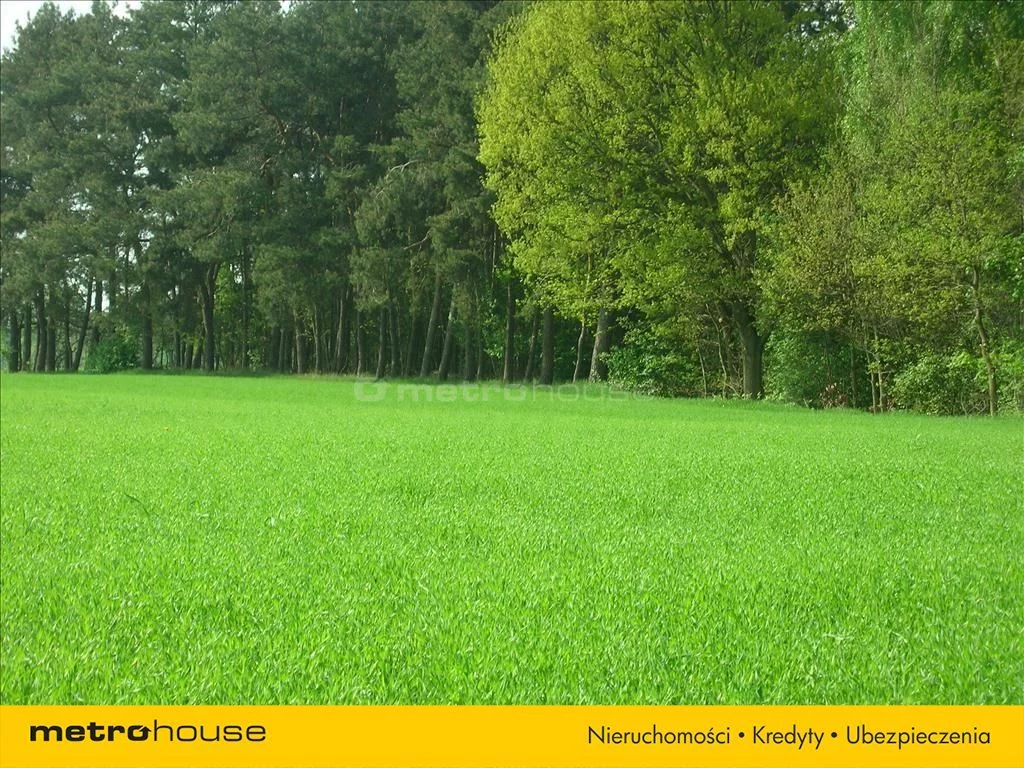 Działka 30 700,00 m², oferta nr , HYZI527, Rawa Mazowiecka