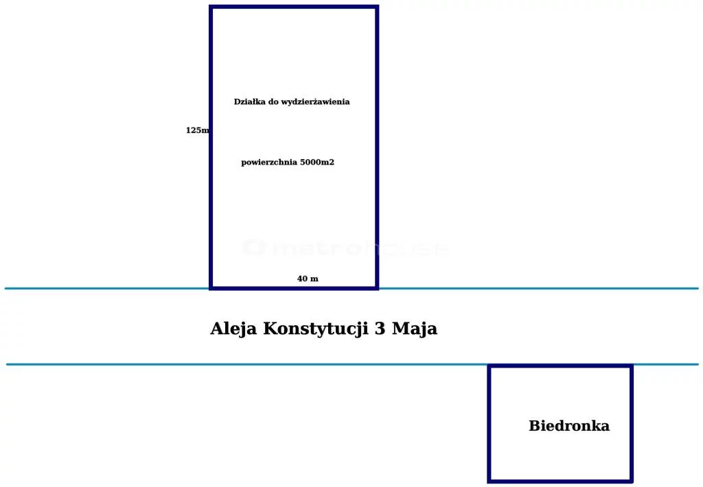 FOLI834 - zdjęcie nr 2