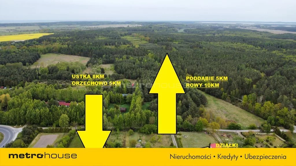 SGVOSY447 - zdjęcie nr 2