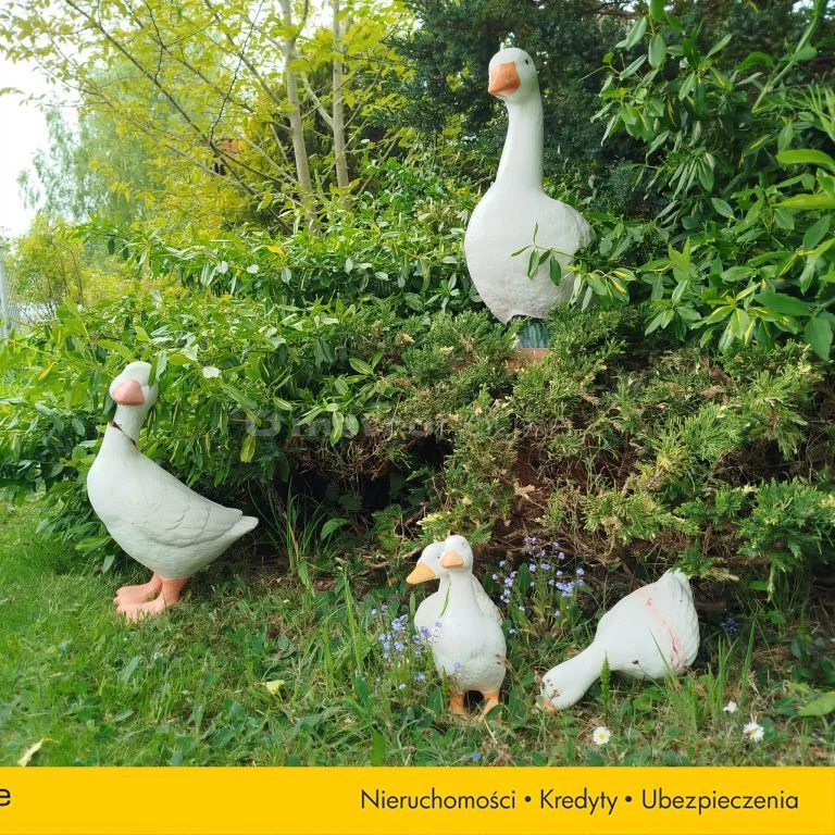 Działka 3 224,00 m², oferta nr , SGVOSY447, Redwanki