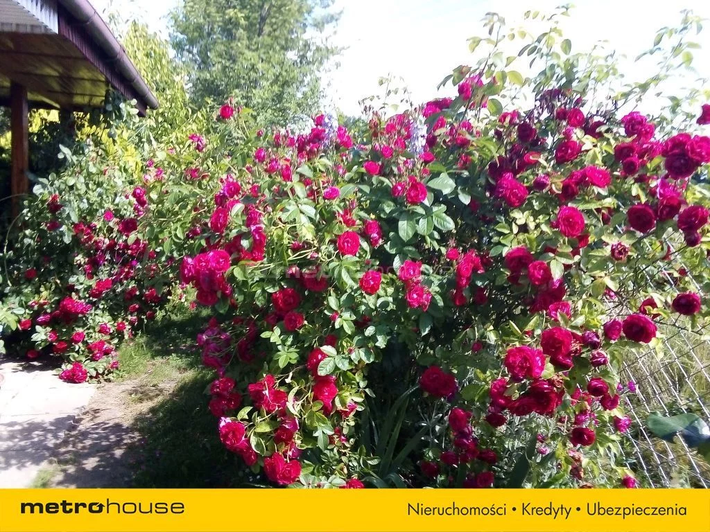 Działka 3 224,00 m², oferta nr , SGVOSY447, Redwanki