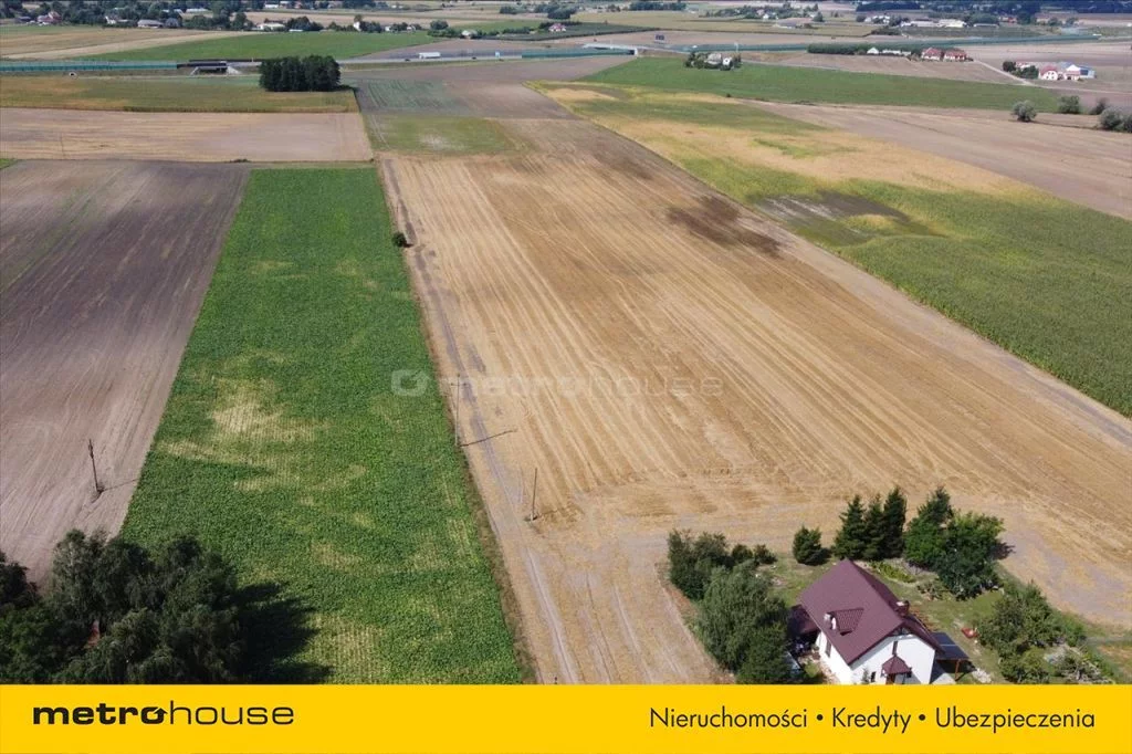 Działka 45 000,00 m², oferta nr , CIBI093, Rogówko