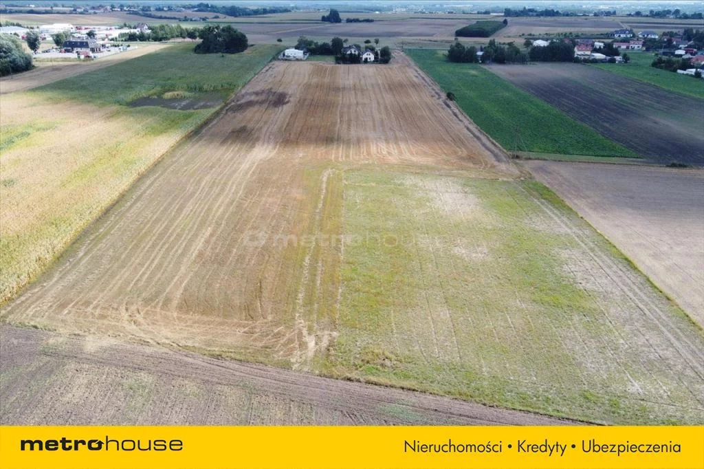 Działka 45 000,00 m², oferta nr , CIBI093, Rogówko