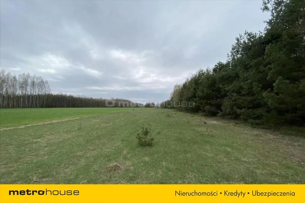 Działka 1 117 000,00 m², oferta nr , JEKA642, Rosowo