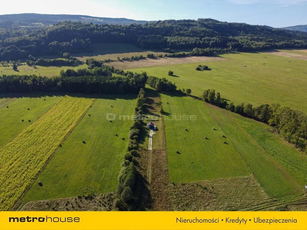 Działka 7 800,00 m², oferta nr , SGCIFE900, Różanka