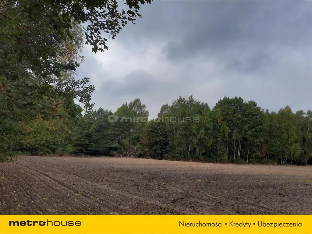 Działka 55 500,00 m², oferta nr , TAXU622, Rudzienko
