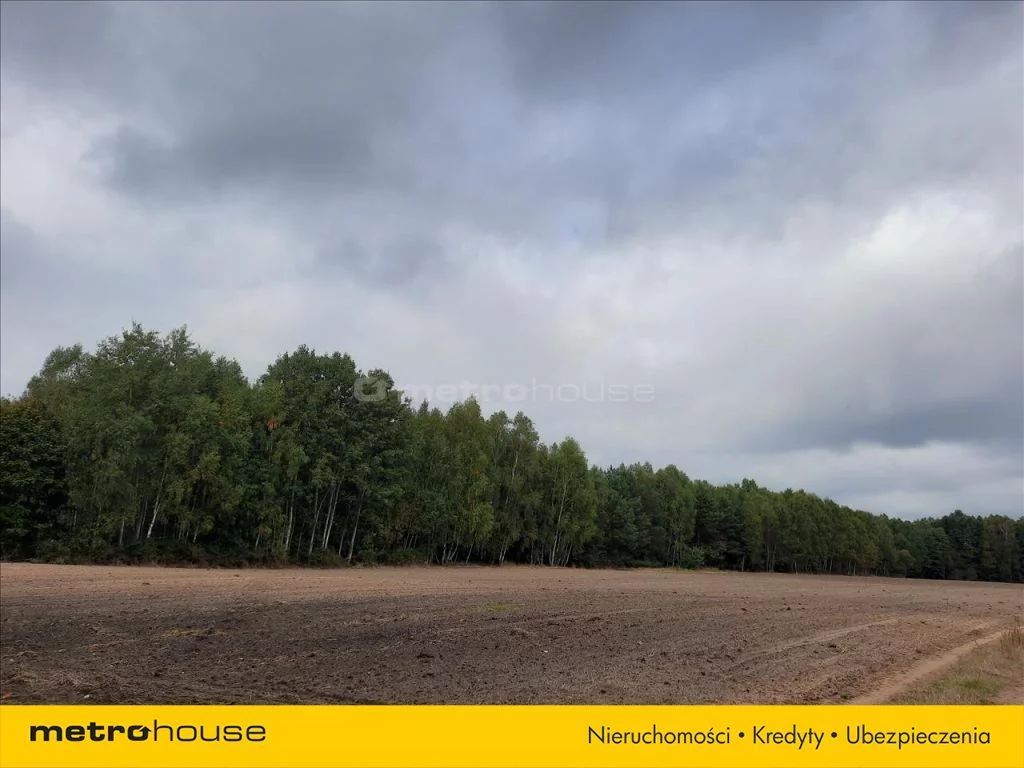 Działka 55 500,00 m², oferta nr , TAXU622, Rudzienko