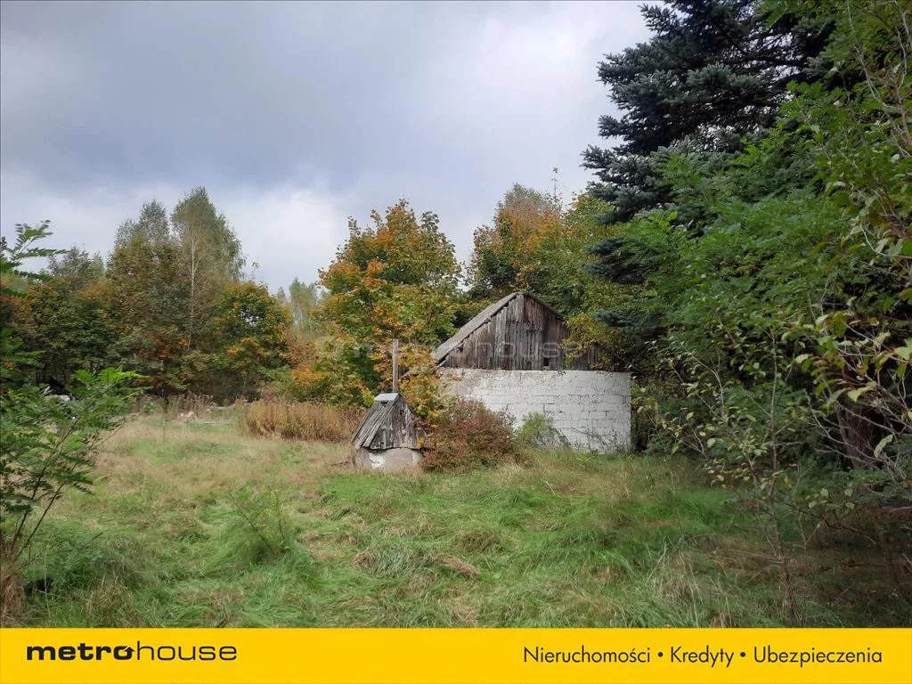 Działka 55 500,00 m², oferta nr , TAXU622, Rudzienko