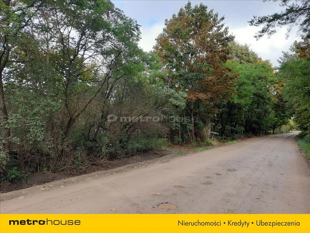 Działka 55 500,00 m², oferta nr , TAXU622, Rudzienko
