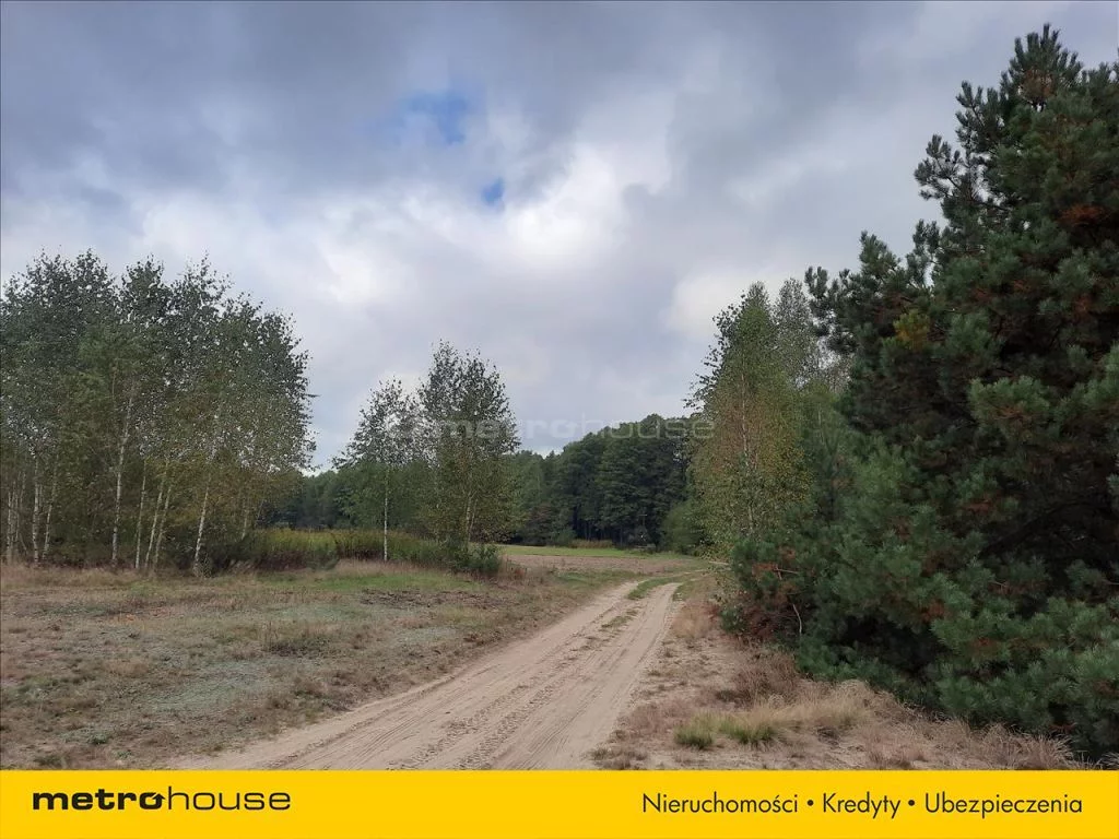 Działka 55 500,00 m², oferta nr , TAXU622, Rudzienko
