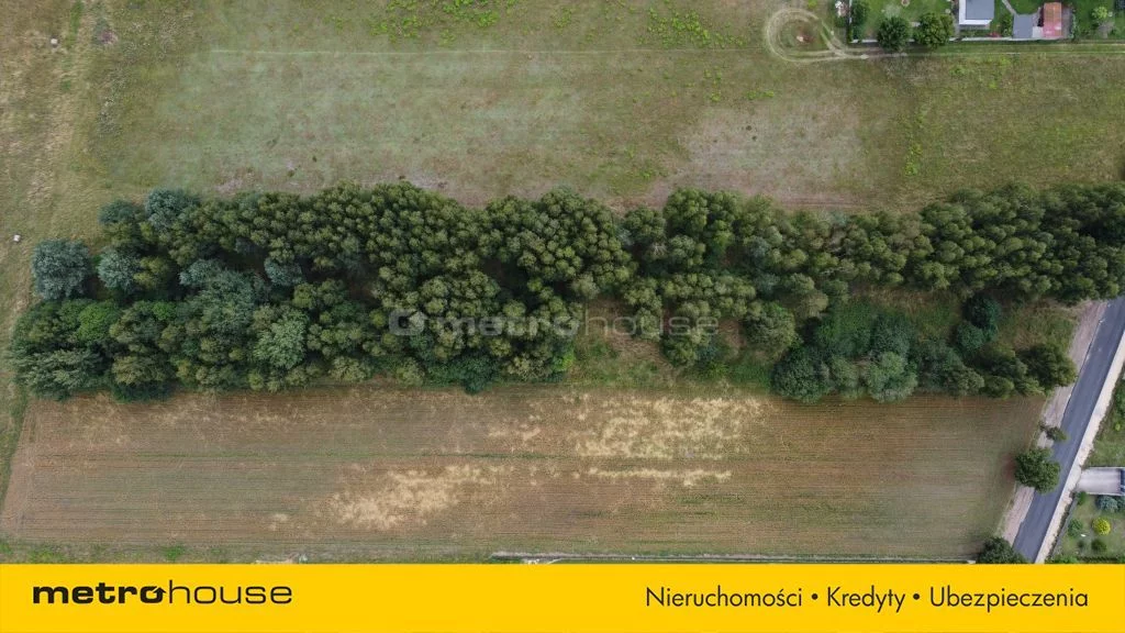 SGKOHA572 - zdjęcie nr 1