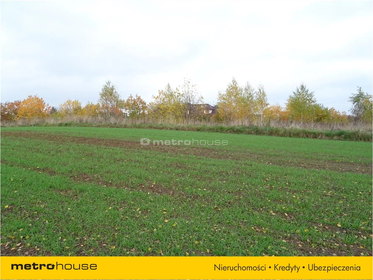 Działka 5 000,00 m², oferta nr , KYFA905, Rypin