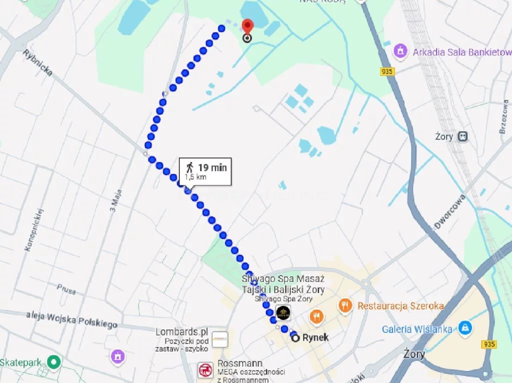 Działka 840,00 m², oferta nr , SGMILI677, Żory, Rzeczna