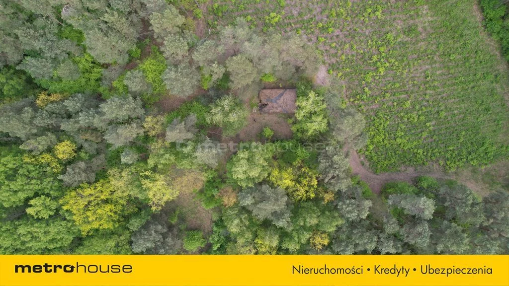 SGCONY130 - zdjęcie nr 3