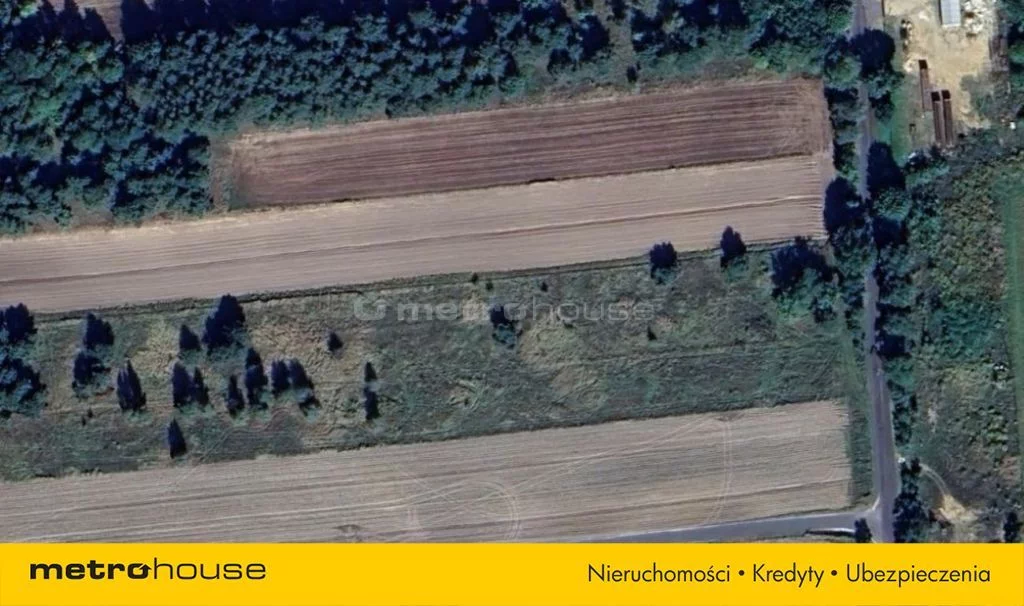 SGROFE109 - zdjęcie nr 3