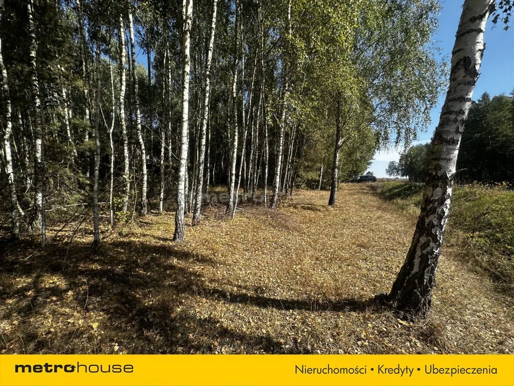 Działka 6 000,00 m², oferta nr , SGVUFO655, Sapiehów