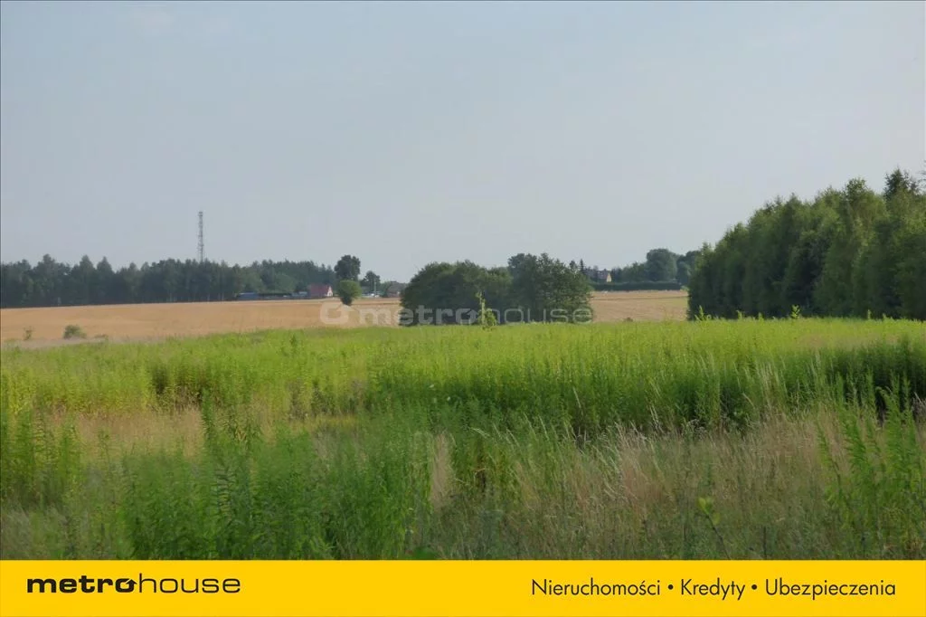 Działka 16 810,00 m², oferta nr , POTI132, Sępochów