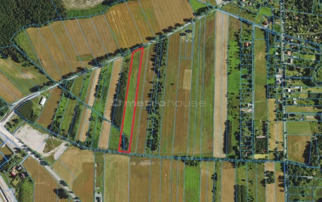 Działka 16 810,00 m², oferta nr , POTI132, Sępochów