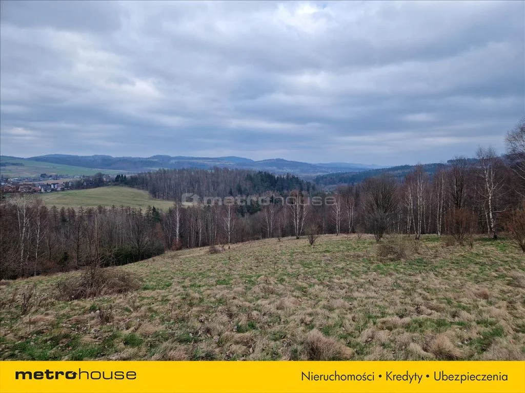 Działka 4 400,00 m², oferta nr , FILY831, Siedlęcin