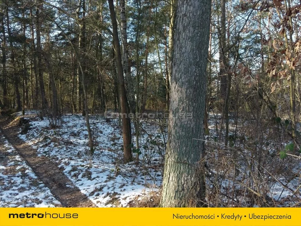 Działka 1 680,00 m², oferta nr , DUJA231, Sierzchów