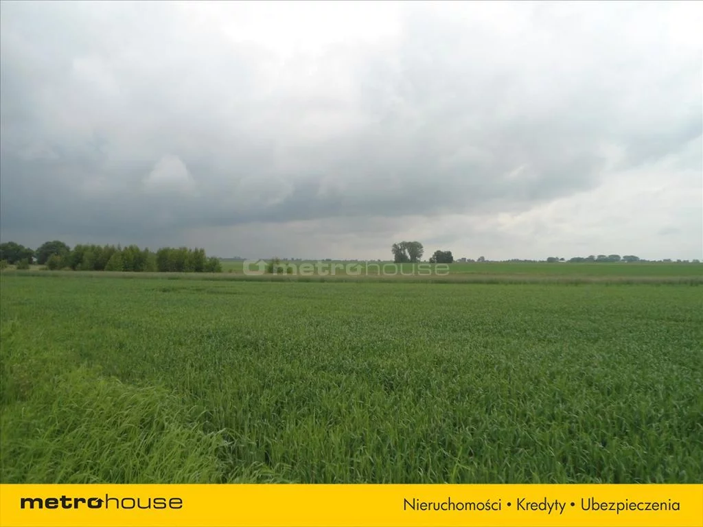 Działka 81 386,00 m², oferta nr , JYTU268, Silna