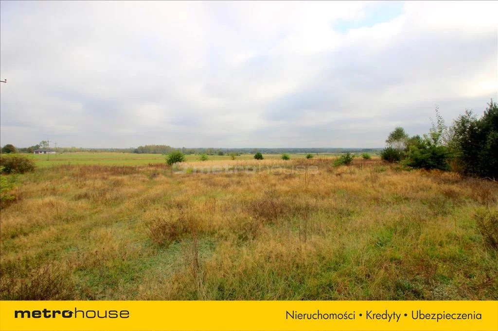 Działka 14 300,00 m², oferta nr , JATE418, Siucice-Kolonia