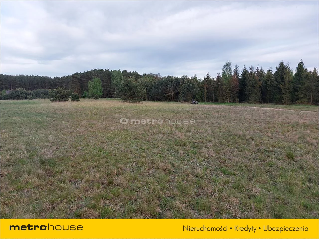 Działka 2 981,00 m², oferta nr , GOSO813, Skoroszów