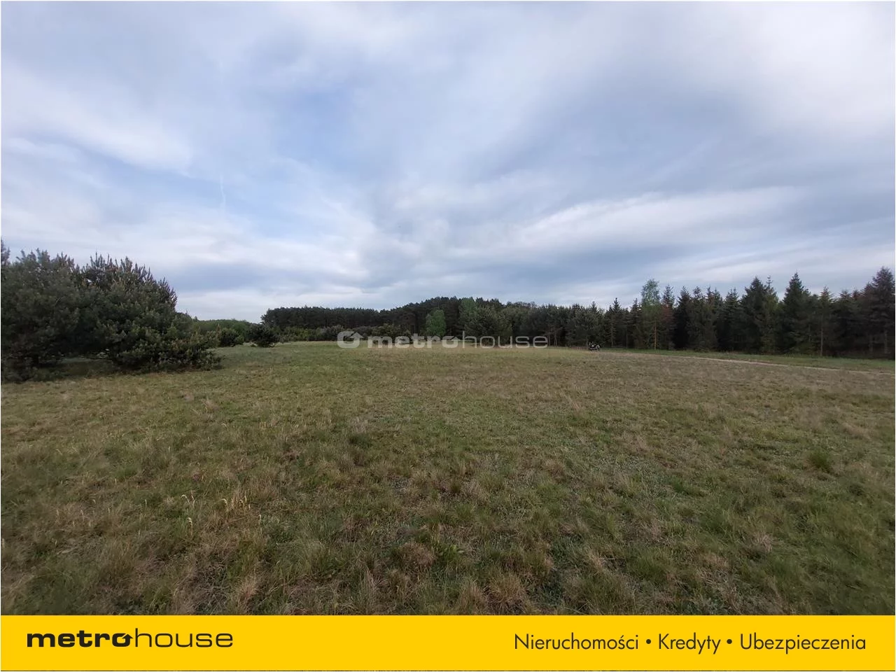 Działka 2 981,00 m², oferta nr , GOSO813, Skoroszów