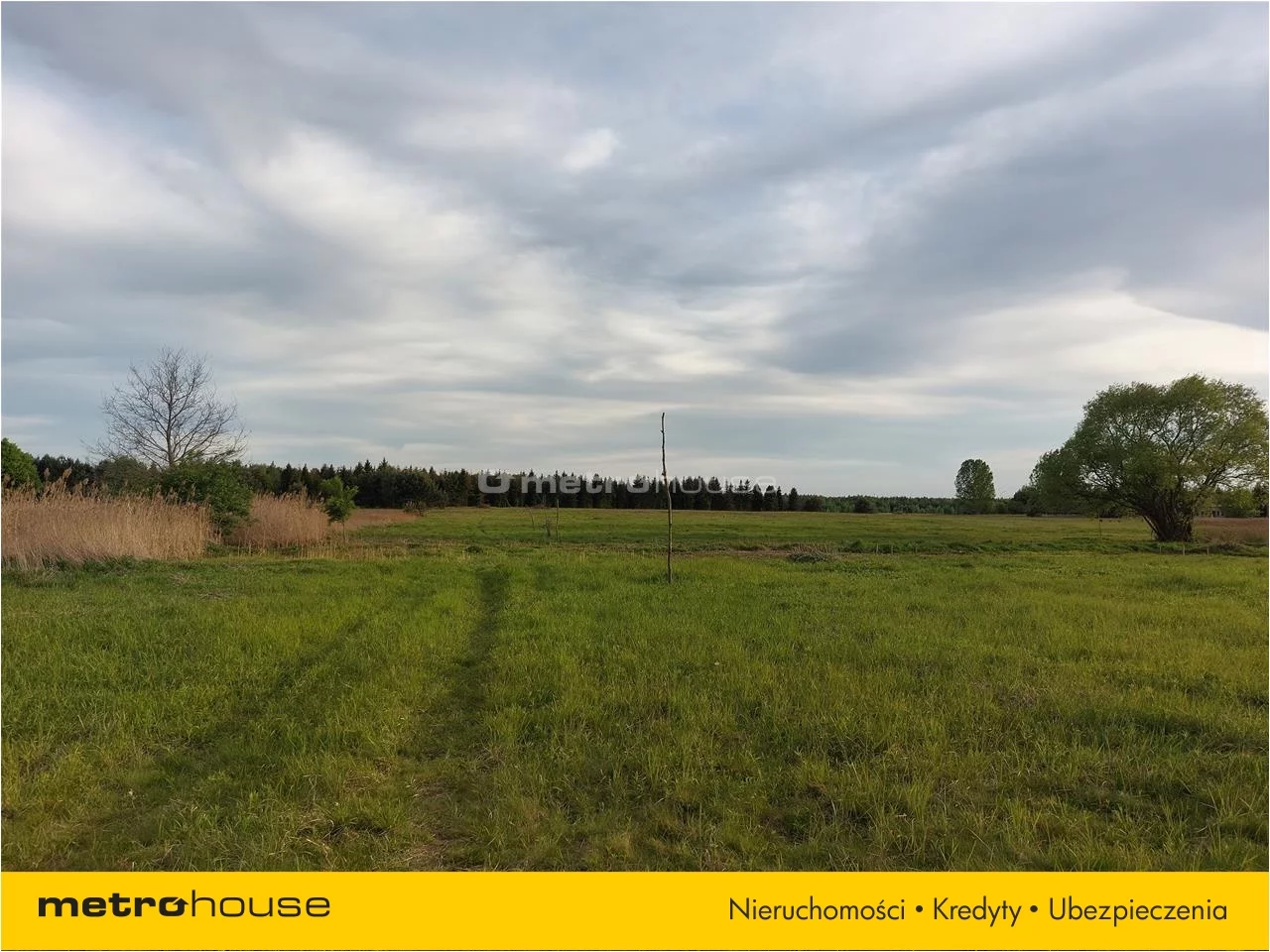 Działka 2 981,00 m², oferta nr , GOSO813, Skoroszów
