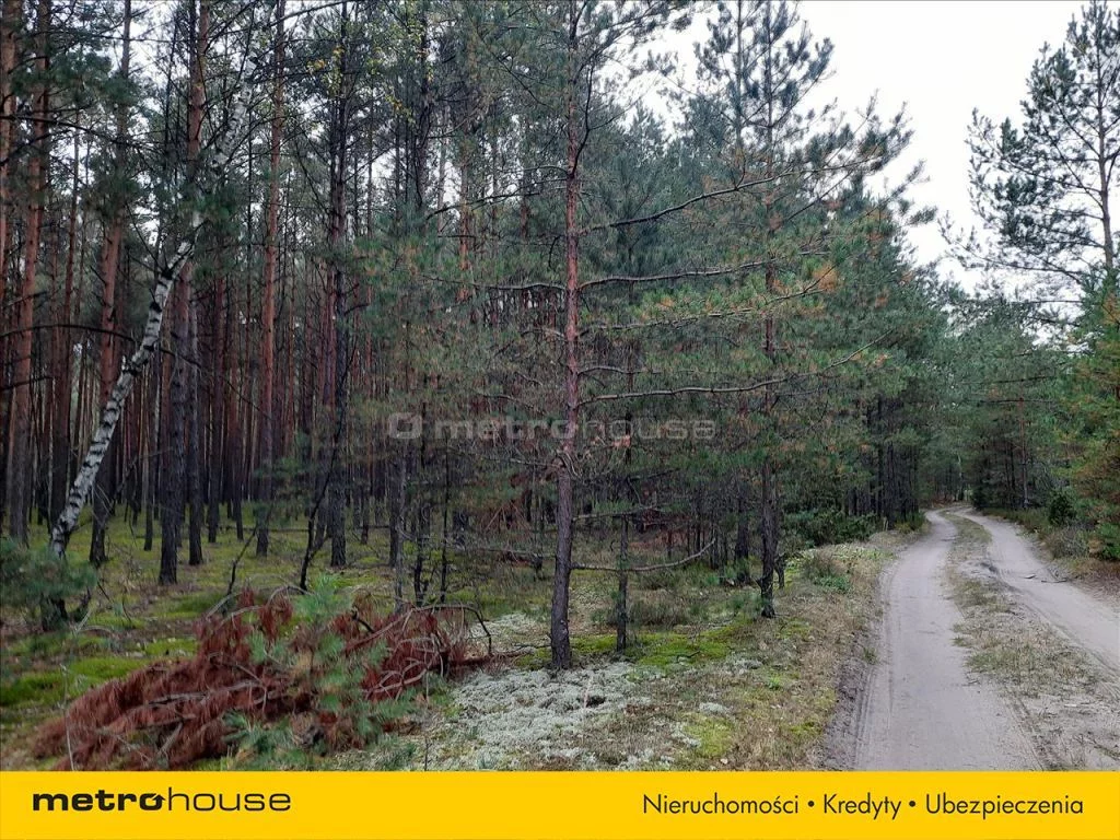Działka 3 999,00 m², oferta nr , LIMU590, Skurcza