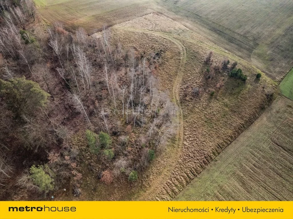Działka 9 032,00 m², oferta nr , SGFAZO653, Sławka Wielka