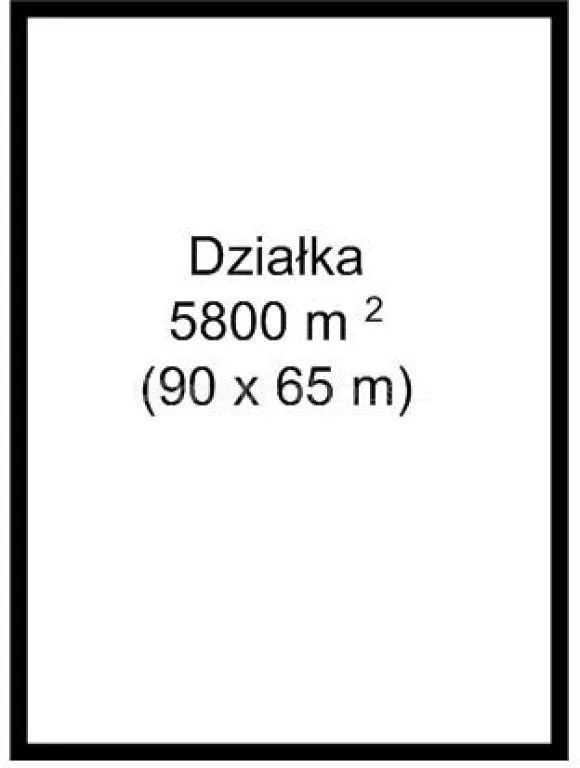 HOSY206 - zdjęcie nr 1