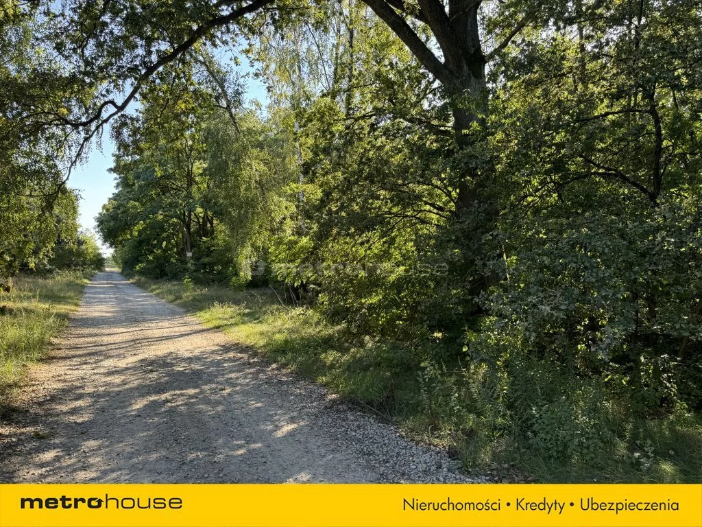 Działka 1 198,00 m², oferta nr , SGRICE762, Słowak