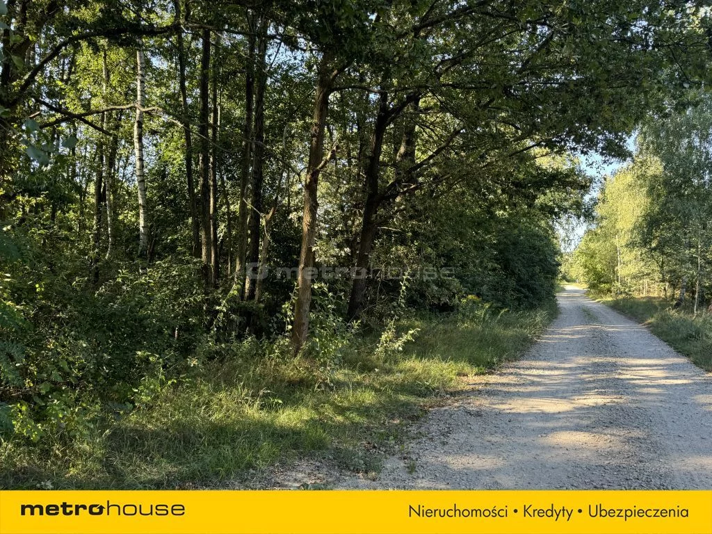 Działka 5 313,30 m², oferta nr , SGMANE148, Słowak